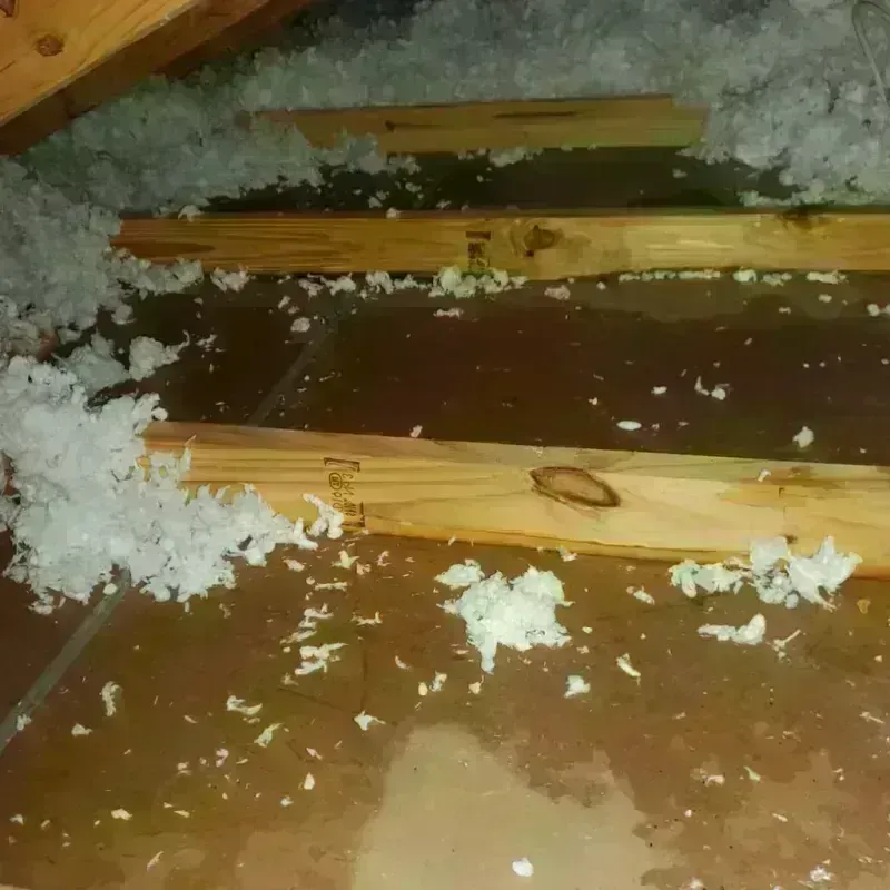 Attic Water Damage in Syracuse, NE