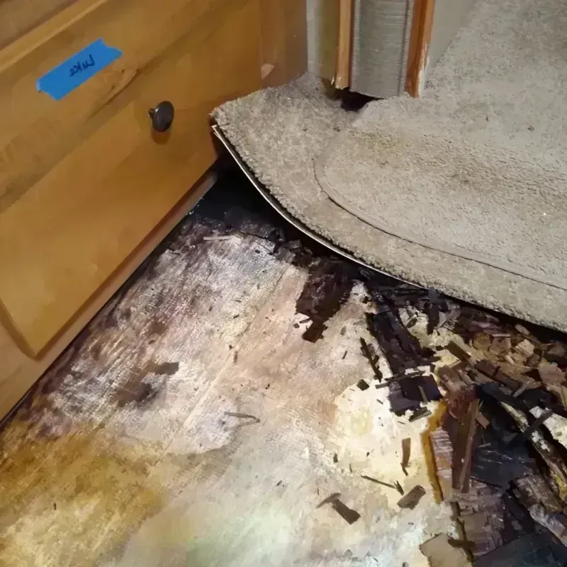 Wood Floor Water Damage in Syracuse, NE